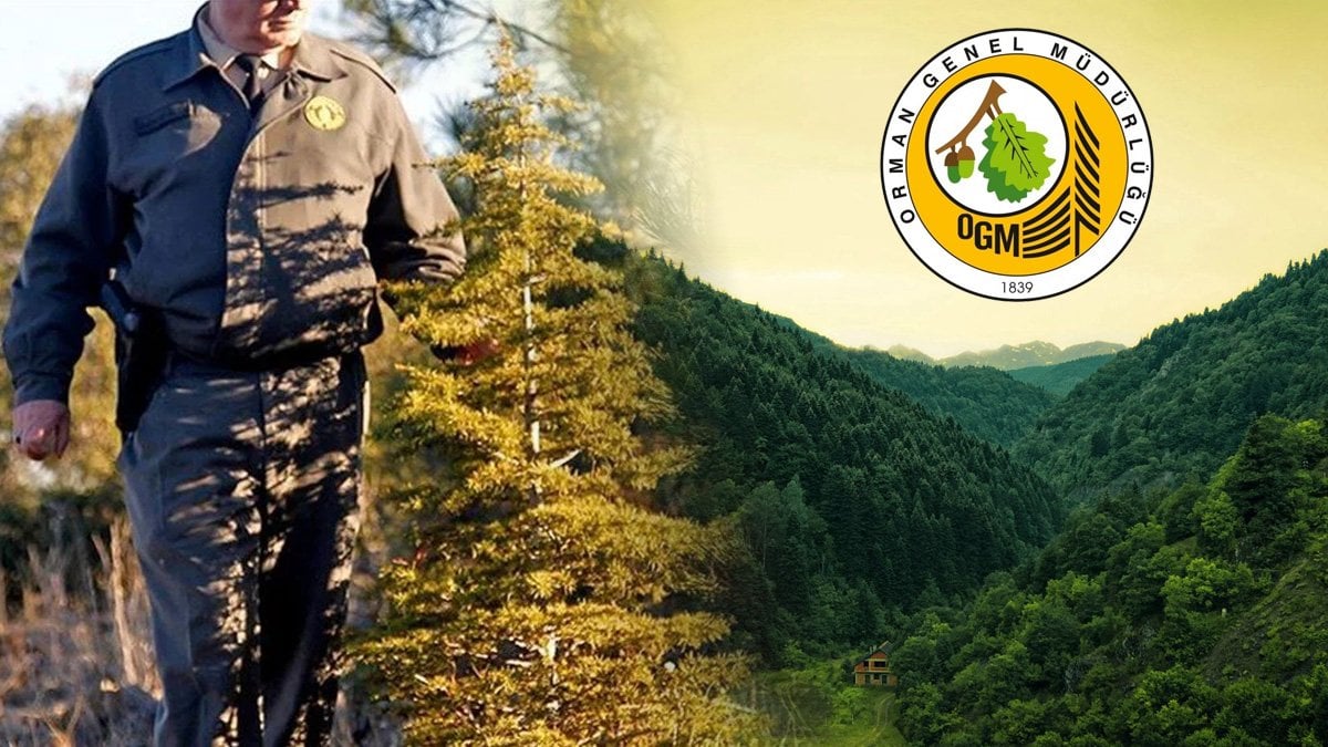 İş Arayanlar İçin Müjde Geldi! Orman Genel Müdürlüğü ve DMO 257 Yeni Personel Alımı Yapacak!