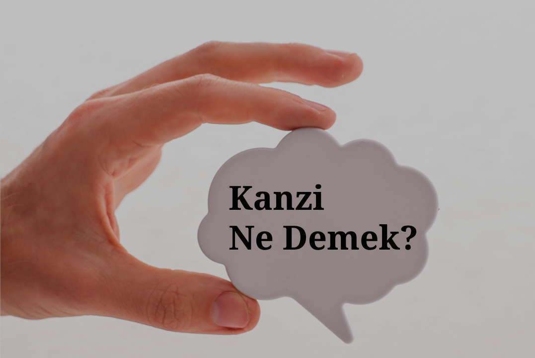 Kanzi Ne Demek? Instagram