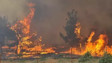 Ankara’da Ormanlık Alanlara Girişler Yasaklandı: 10 Haziran-30 Eylül Arası Yeni Dönem Başlıyor