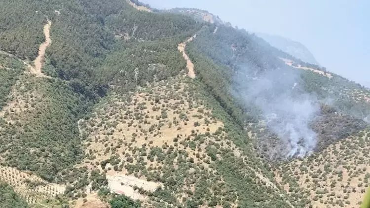 Manisa'da Orman Yangınına Havadan ve Karadan Müdahale Sürüyor