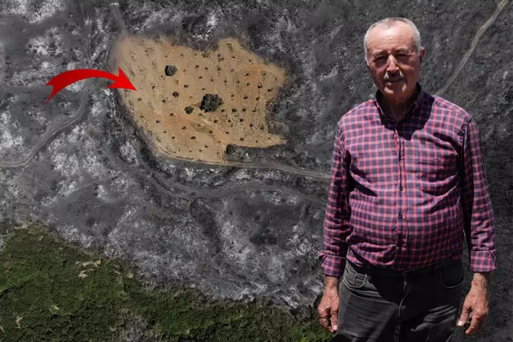 Ödemiş Yangınında Dikkat Çeken Detay: Sadece Ahmet Türk'ün Arazisi Yanmadı