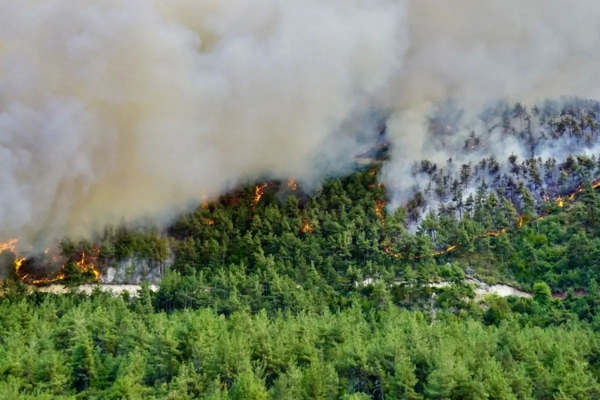 Mersin Anamur'da Ormanı Benzinle Yakan 2 Kişi Tutuklandı