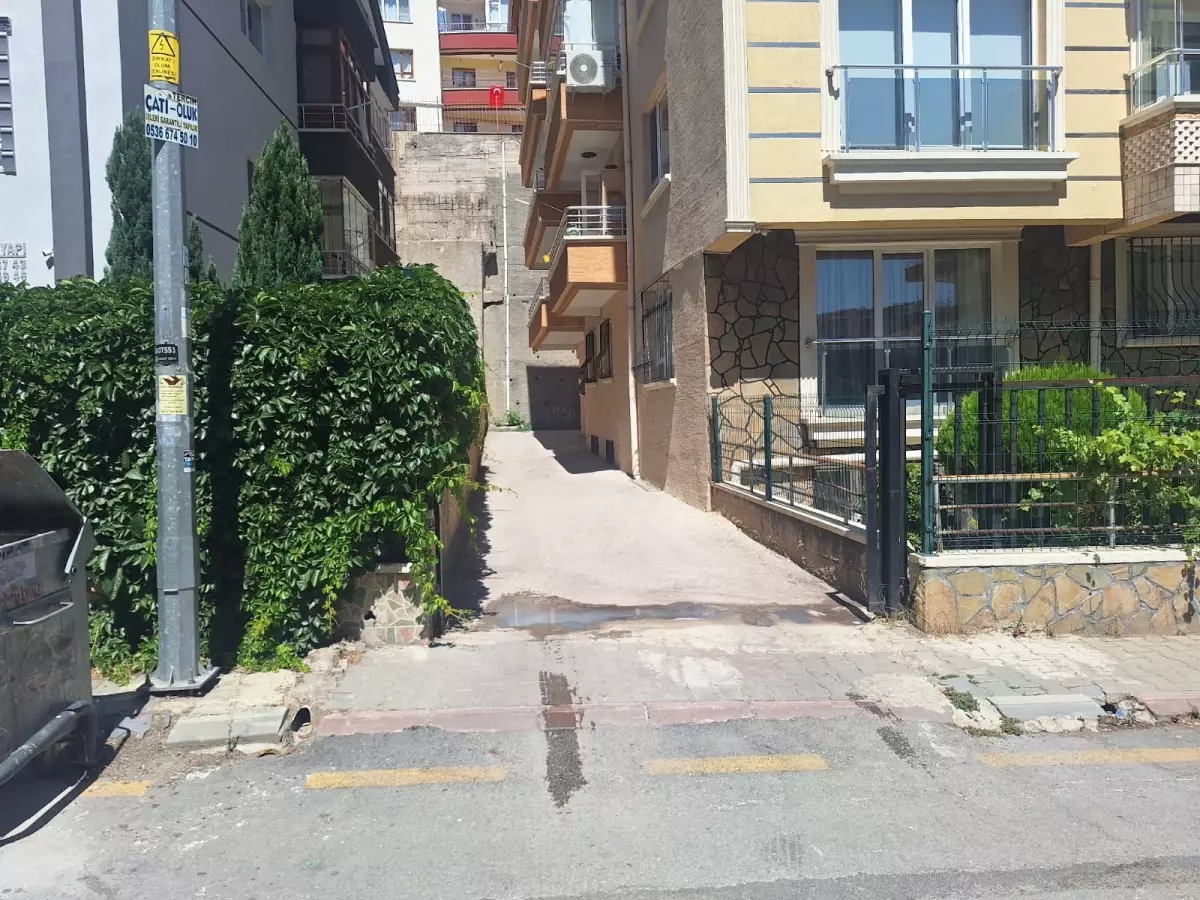 Ankara’da Polis Memuru Sokak Köpeğini Vurarak Öldürdü