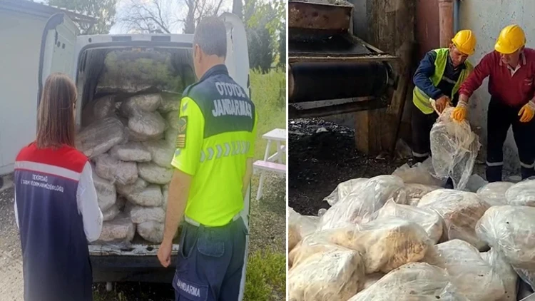 Tekirdağ’da 1 Ton 200 Kilogram Sakatat İmha Edildi