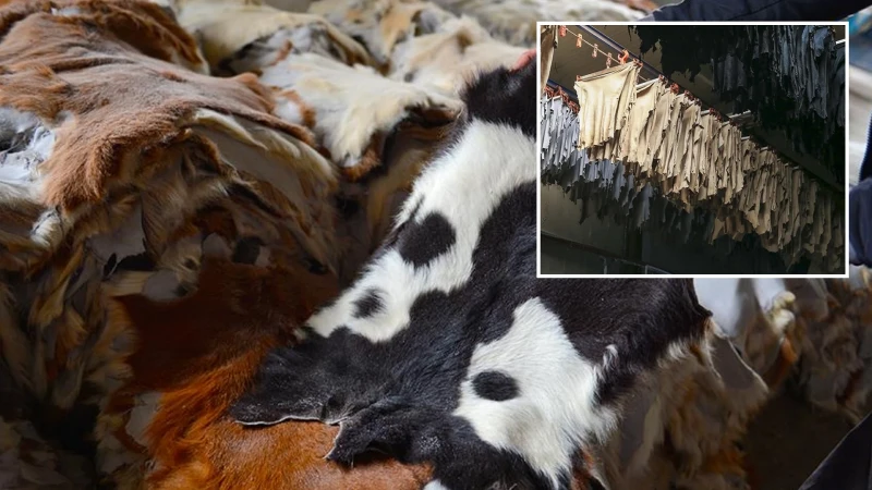 Kurban Kesecekler Dikkat Milli Servet Uyarısı Geldi