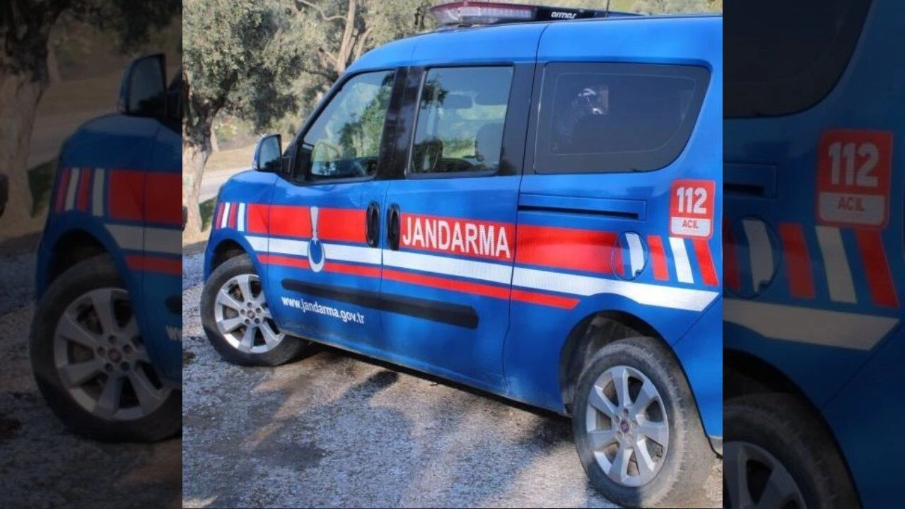 Aydın'da Traktör Kazası: Şenay Pınarcı Hayatını Kaybetti