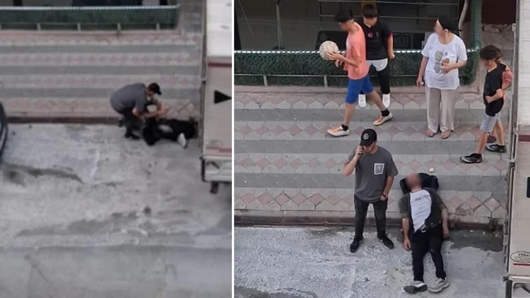 Arnavutköy'de Dehşete Düşüren Olay! Kafasını Defalarca Kamyonete Vurdu