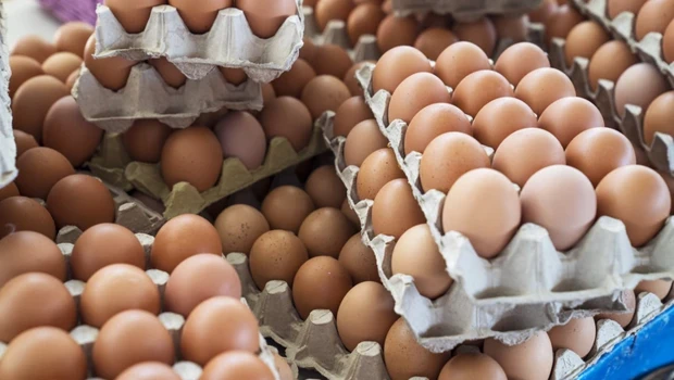 Fazla Protein Tüketimi Zararlı Mı? Araştırmalardan Dikkat Çeken Sonuçlar