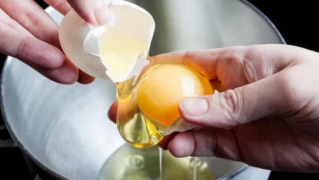 İthal Yumurtalarla Bağlantılı Salmonella Salgını: 1 Kişi Öldü, 207 Vaka Tespit Edildi