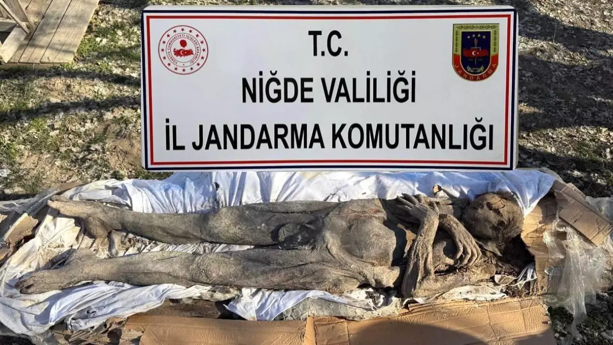 Niğde’de Şaşırtan Operasyon! Ortaçağ Dönemine Ait Mumya Ele Geçirildi