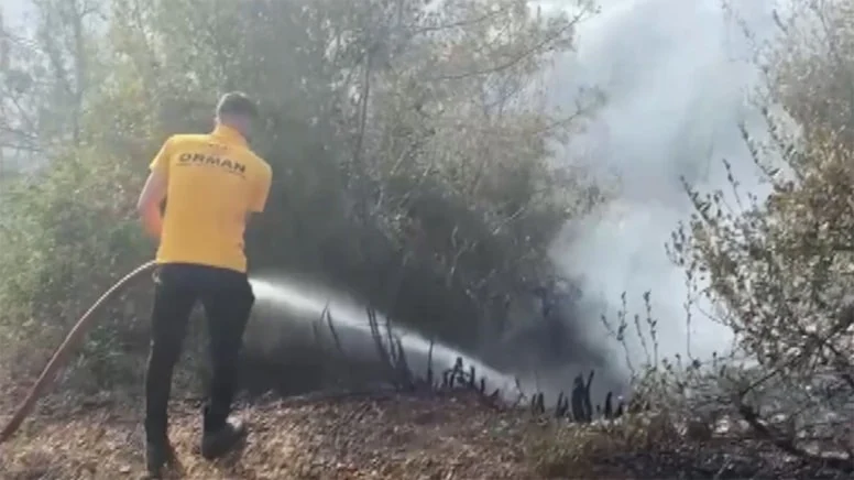 Osmaniye Düziçi’nde Orman Yangını! 21 Saatte Kontrol Altına Alındı