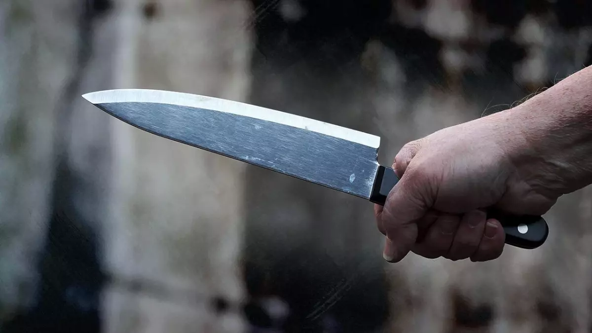 ABD’de Lise Önünde Bıçaklı Saldırı: 1 Öğrenci Hayatını Kaybetti, 2 Öğrenci Yaralandı ABD’de Lise Önünde Bıçaklı Saldırı: 1 Öğrenci Hayatını Kaybetti, 2 Öğrenci Yaralandı