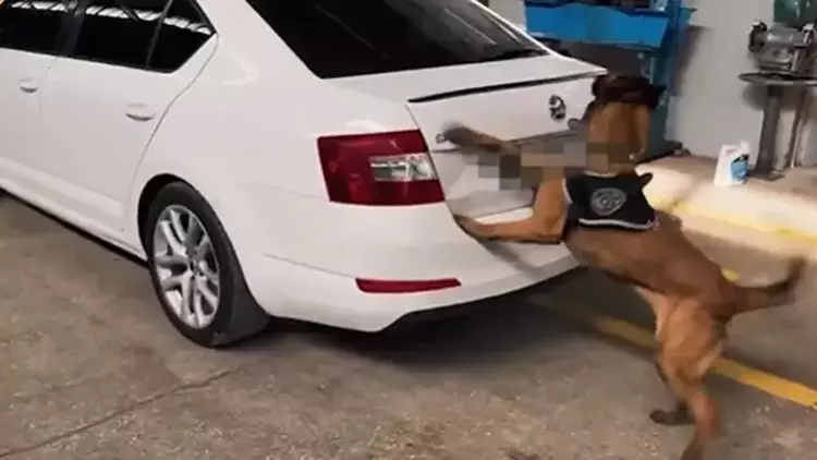 Van ve Şanlıurfa’da Uyuşturucu Operasyonu: 311,5 Kilo Madde Ele Geçirildi