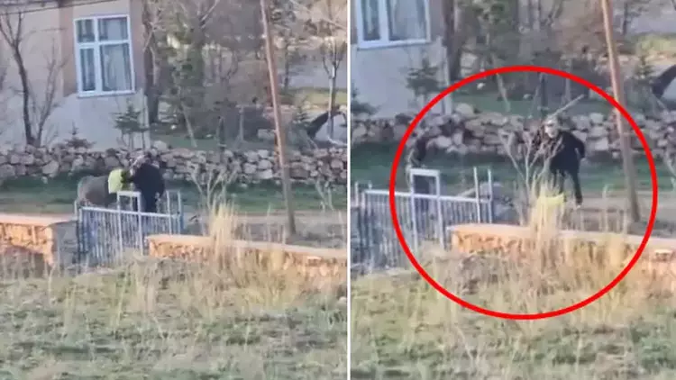 Sivas'ta Eşeğe Sopayla Şiddet Kameraya Yansıdı: Tepki Yağdı Sivas'ta Eşeğe Sopayla Şiddet Kameraya Yansıdı: Tepki Yağdı