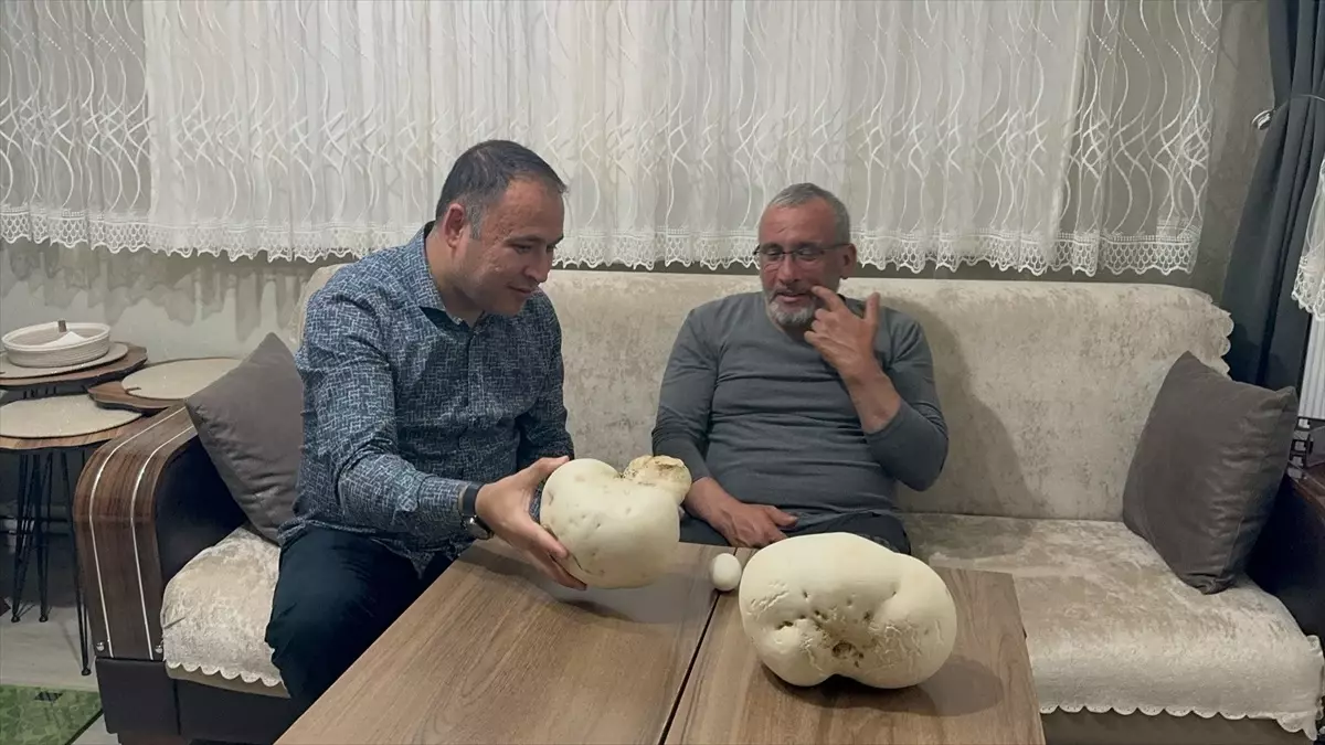 Isparta’da Doğa Yürüyüşünde Karşılaştı: 2,5 Kiloluk Dev Mantar Buldu