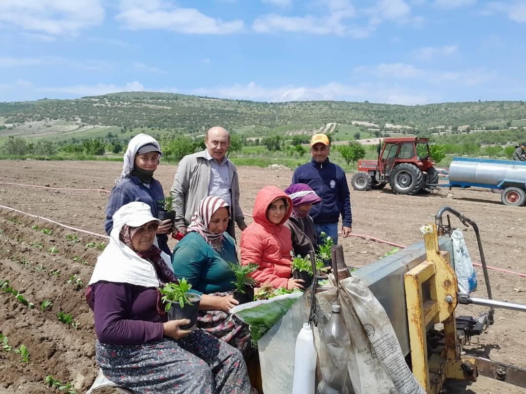 Selendi CHP’den Tarlada Çalışan Annelere Anlamlı Ziyaret