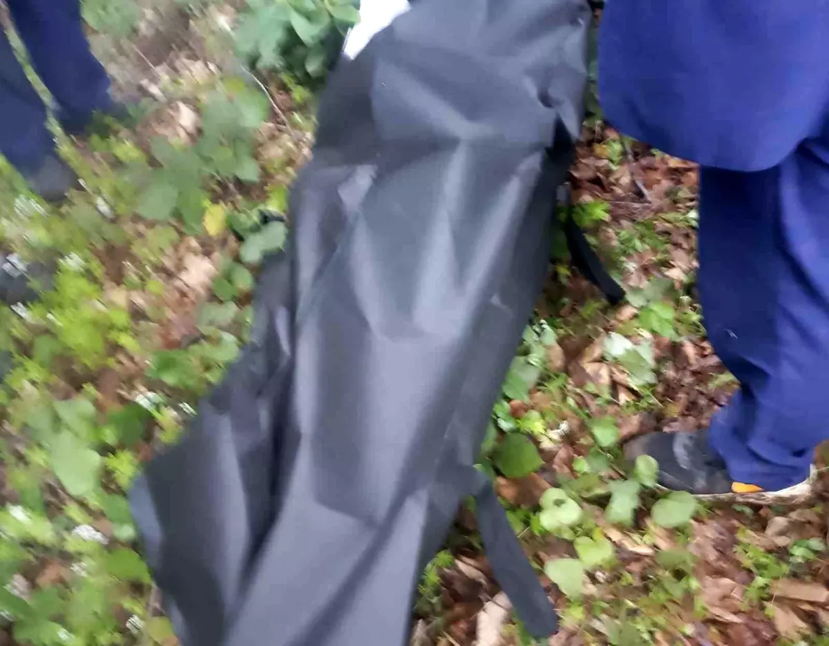 Ordu’da Kayıp Olarak Aranan Görme Engelli Yaşlı Adam Dere Yatağında Ölü Bulundu Ordu’da Kayıp Olarak Aranan Görme Engelli Yaşlı Adam Dere Yatağında Ölü Bulundu
