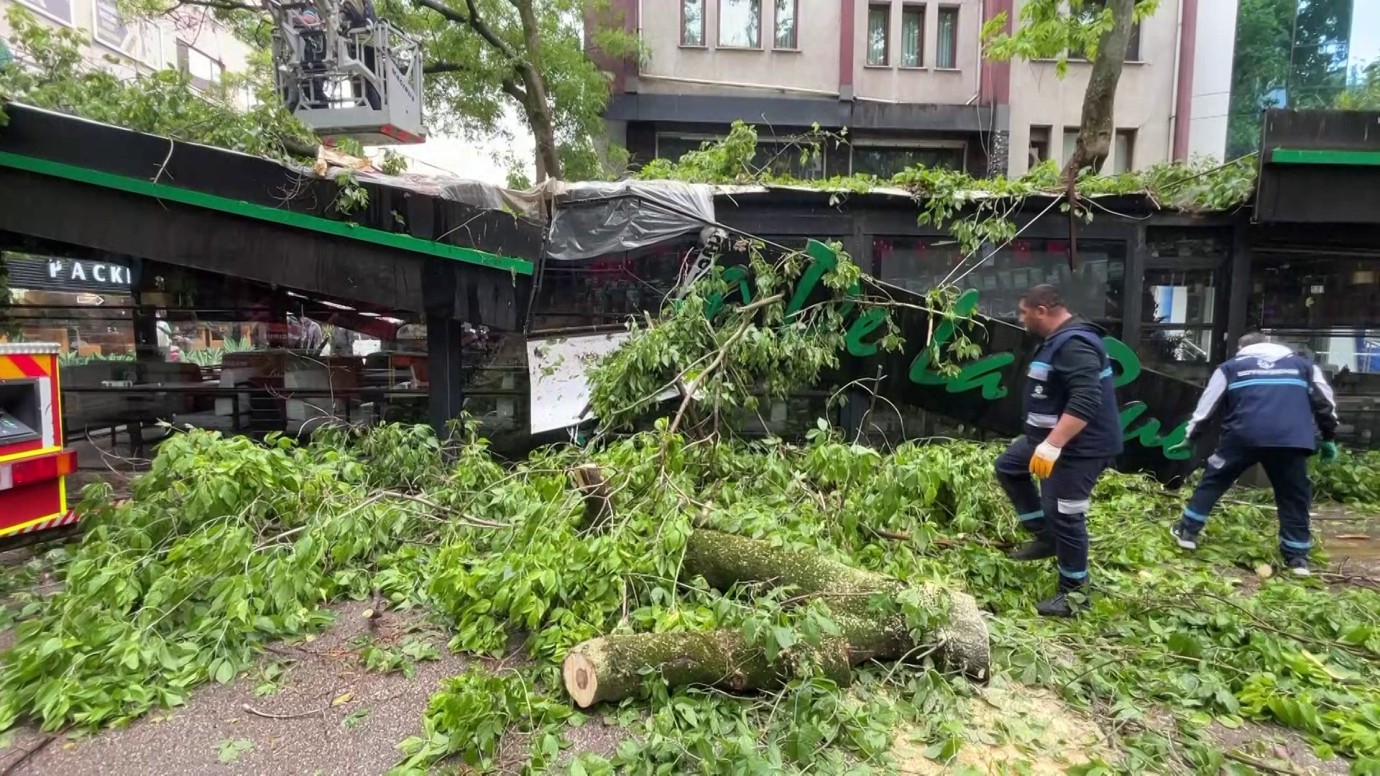 Kocaeli'de fırtına yaşamı olumsuz etkiledi: Dev ağaç kafenin üzerine devrildi, 2 kişi yaralandı