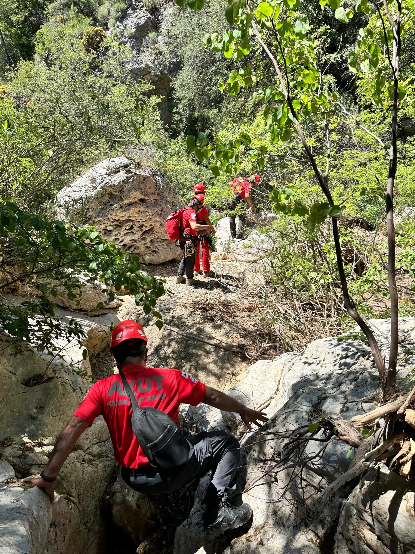 Fethiye’de Derede Mahsur Kalan “Ateş” İsimli Köpek Kurtarıldı