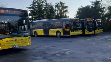 Bu da Oldu! İstanbul’da Ulaşım Alarmı: 3 Bin Özel Halk Otobüsü Neden Sefer Durduruyor?