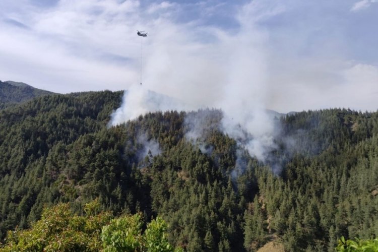 Kahramanmaraş’ta Orman Yangını: Ekipler Havadan ve Karadan Müdahale Ediyor