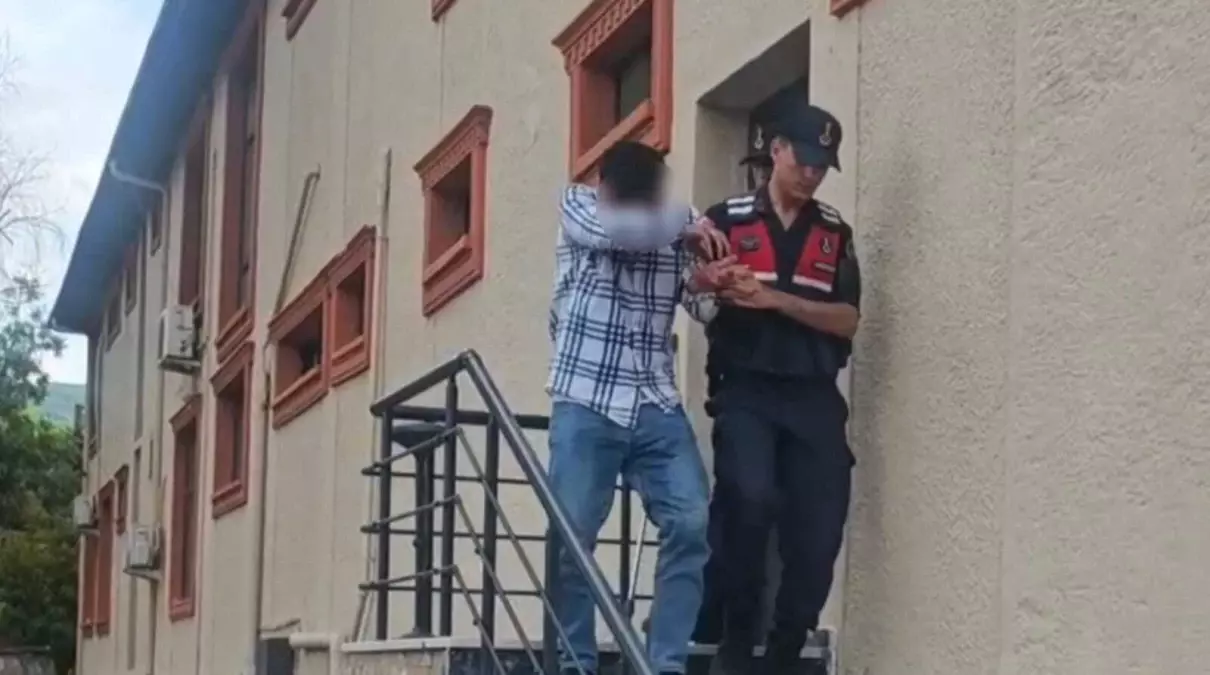 Sakarya’da Kurbanlıkları Çalan Çift Tutuklandı Sakarya’da Kurbanlıkları Çalan Çift Tutuklandı