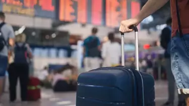 Havalimanında Yakalandı: Valizinden Zehirli Yılanlar ve Kaplumbağalar Çıktı
