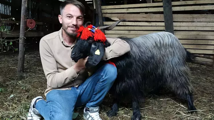 Trabzon’da 18 Gün Boyunca Aranan Keçi 'Şanslı', Ormanda Bulundu