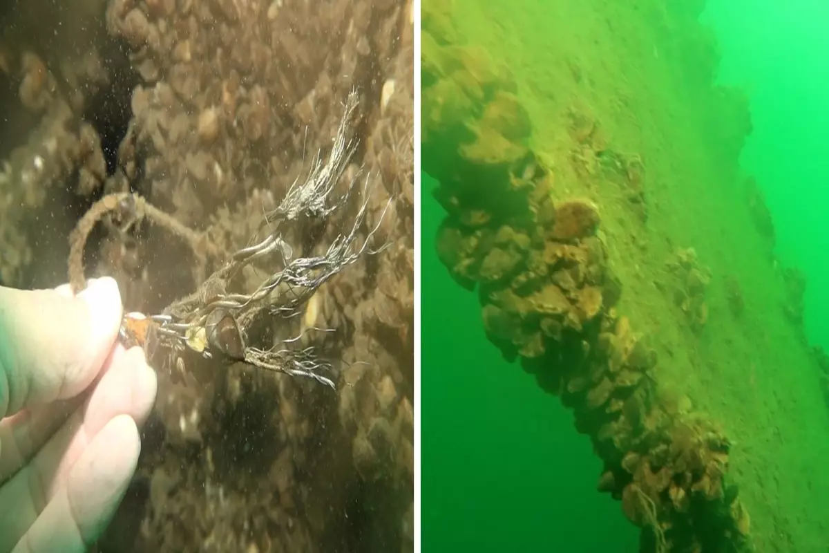 Sapanca Gölü'ne Düşen Uçağın Enkazı 53 Yıl Sonra Görüntülendi Sapanca Gölü'ne Düşen Uçağın Enkazı 53 Yıl Sonra Görüntülendi
