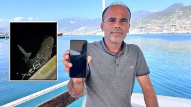 İskenderun'da Yakalandı, Akdeniz’e Geri Bırakıldı: 2,5 Metrelik Köpek Balığı İskenderun'da Yakalandı, Akdeniz’e Geri Bırakıldı: 2,5 Metrelik Köpek Balığı