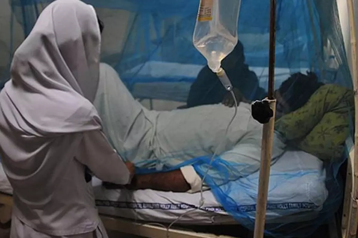 Zimbabve'de Sıtma Salgını Yayılıyor: 317 Kişi Yaşamını Yitirdi Zimbabve'de Sıtma Salgını Yayılıyor: 317 Kişi Yaşamını Yitirdi