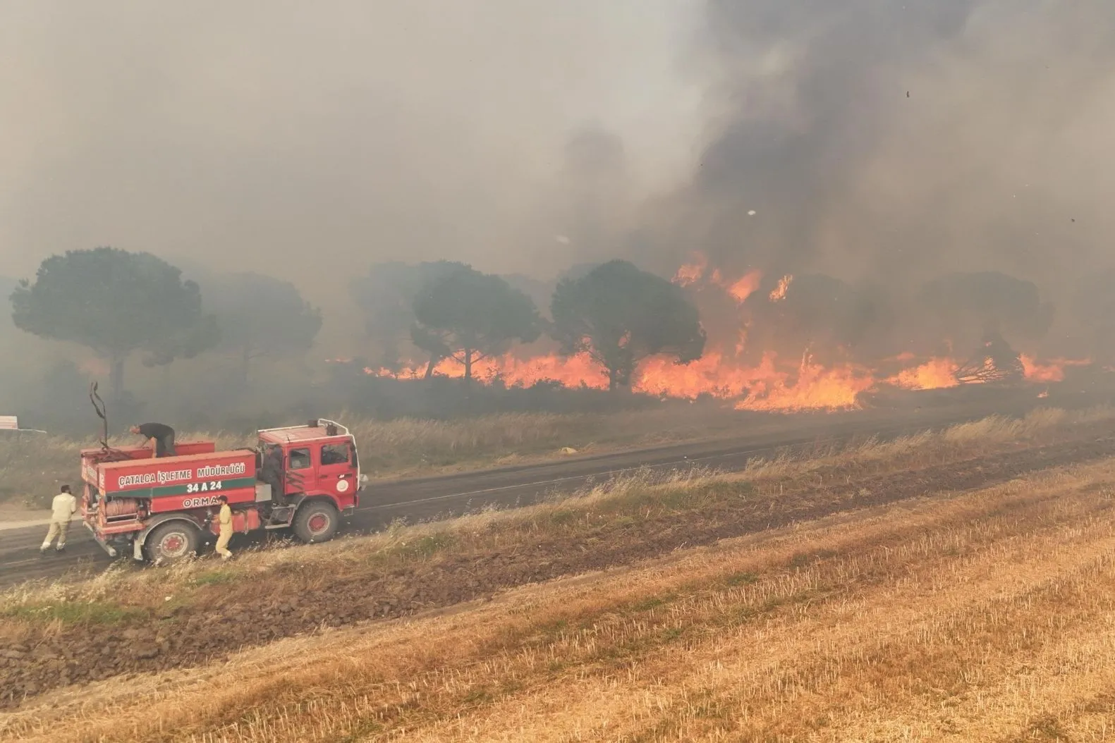 Silivri’de Orman Yangını: Yerleşim Alanları Güvenlik Amaçlı Boşaltıldı Silivri’de Orman Yangını: Yerleşim Alanları Güvenlik Amaçlı Boşaltıldı