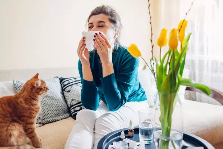 Kedi Alerjisine Karşı Yumurta Takviyesi Dikkat Çekiyor Kedi Alerjisine Karşı Yumurta Takviyesi Dikkat Çekiyor
