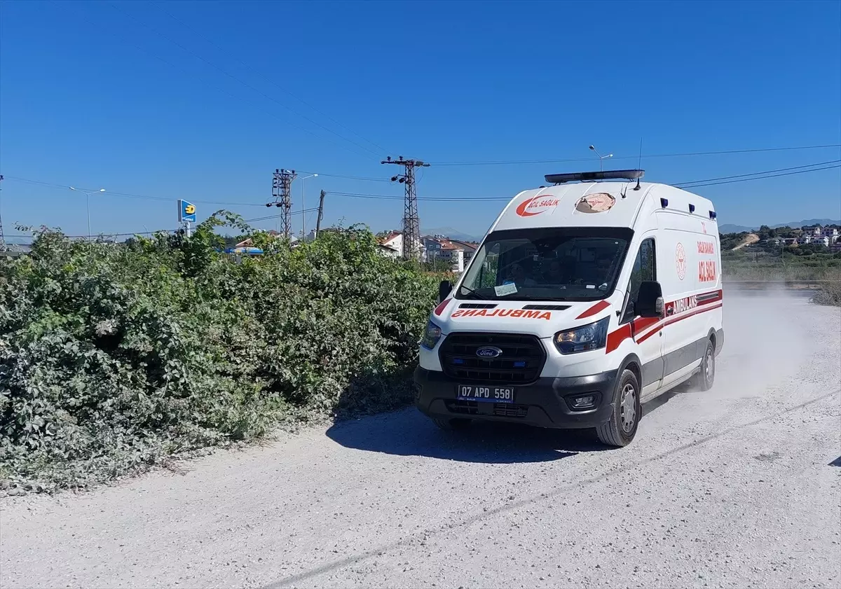İlçe Diken Üstünde: Manavgat'ta Hayvan Parkından Kaçan Aslan Bir Kişiyi Yaraladı