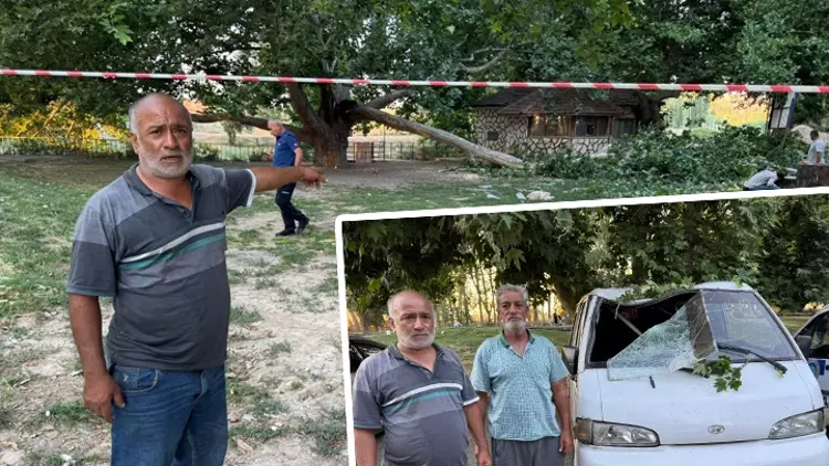 Konya’da Ağacın Kırılan Dalı Piknik Yapanların Üzerine Düştü: 11 Yaralı