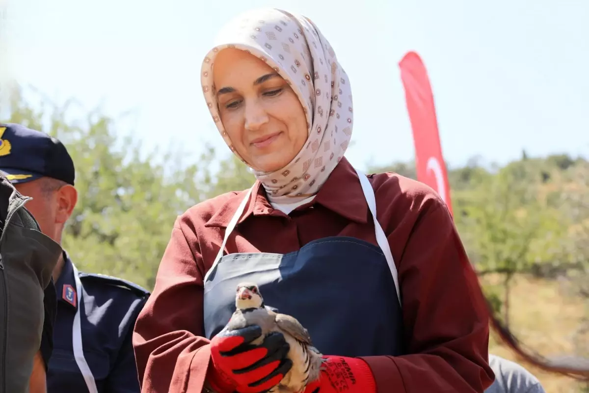 Kübra Güran Yiğitbaşı Kabineye Mi Giriyor? Aile Bakanlığı İçin İsmi Geçiyor