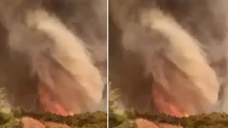 Orman Yangınları Yayılıyor, Uzmanlar Uyarıyor