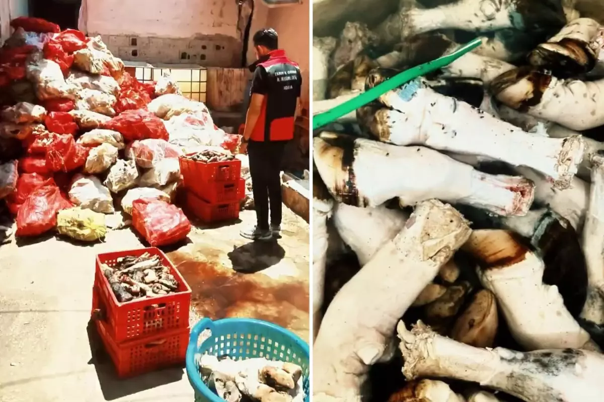 Adana'da Gıda Güvenliğine Yönelik Yeni Skandal: 5 Ton Paça ve Bağırsak Ele Geçirildi
