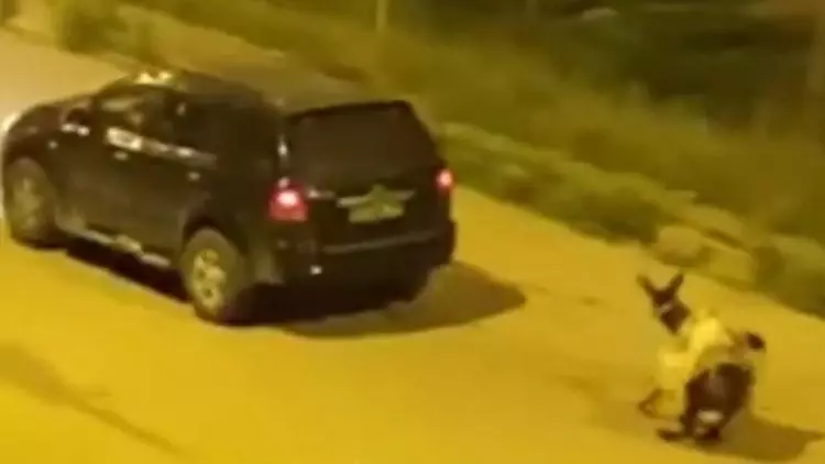 Eşeğe Eziyet Edenlere Ceza Kesildi, Hayvan Koruma Altına Alındı Eşeğe Eziyet Edenlere Ceza Kesildi, Hayvan Koruma Altına Alındı