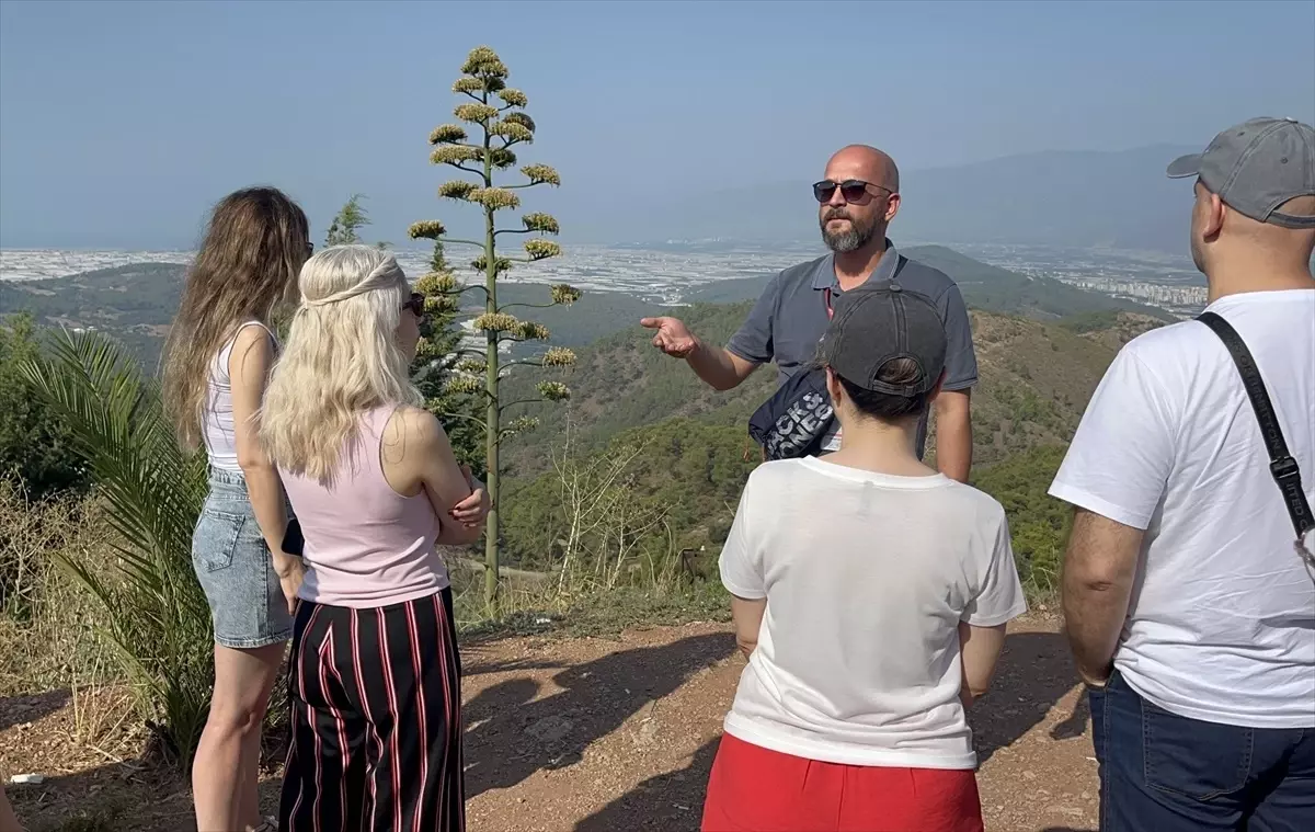 Kumluca'da 30 Yılda Bir Açan Agave Çiçeği Turistleri Büyüledi Kumluca'da 30 Yılda Bir Açan Agave Çiçeği Turistleri Büyüledi