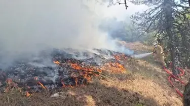 Bolu’da Orman Yangını Kontrol Altına Alındı