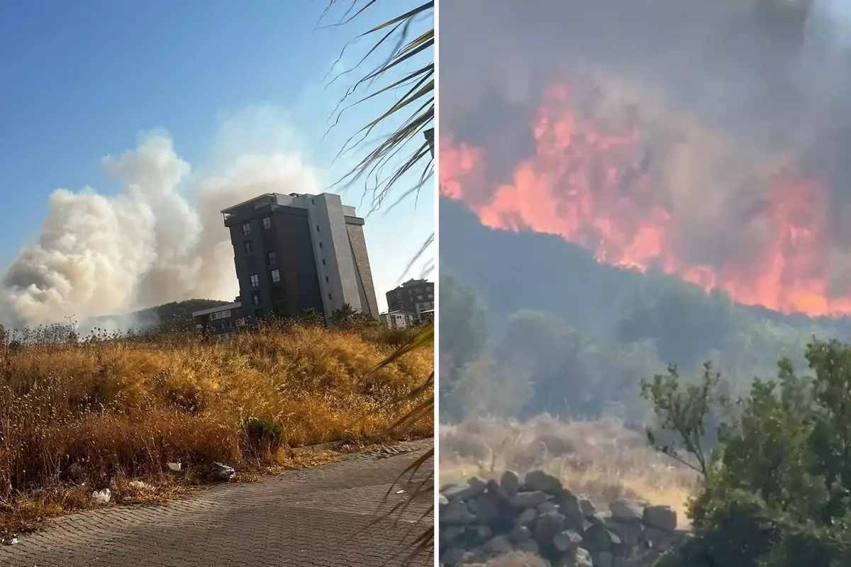 İzmir Buca’da Orman Yangını: Alevler Yerleşim Yerlerine Yaklaşıyor İzmir Buca’da Orman Yangını: Alevler Yerleşim Yerlerine Yaklaşıyor