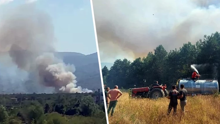 Son Dakika: Sakarya Akyazı’da Orman Yangınına Çok Sayıda Ekip Müdahale Ediyor