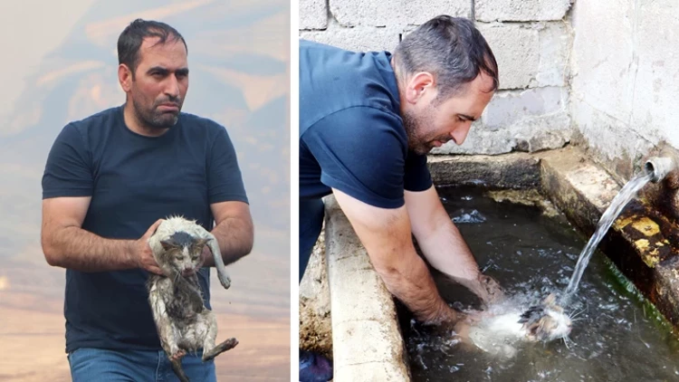 Erzurum’da Yangında Mahsur Kalan Kediyi Kurtardı: “Dumanların Arasında Çaresizce Beklediğini Gördüm”