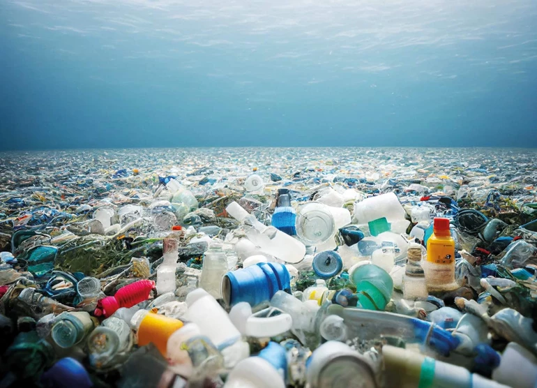 Mikroplastikler Hücrelerimize Kadar Ulaştı: Sessiz Tehlike Büyüyor Mikroplastikler Hücrelerimize Kadar Ulaştı: Sessiz Tehlike Büyüyor