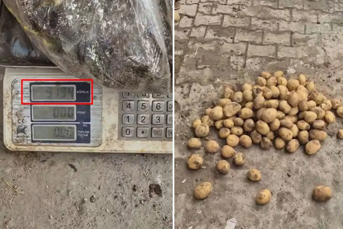 22 Kiloluk Patates Çuvalından 13 Kilo Patates Çıktı