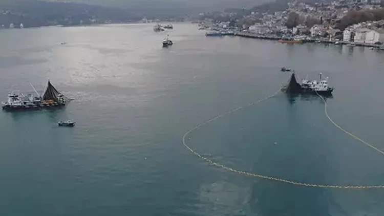 İstanbul Boğazı’nda Balık Soykırımı İddialarına Resmi Açıklama Geldi