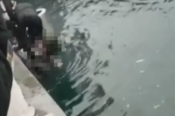 Kadıköy'de Feci Olay: 4 Engelli Vatandaş Denize Düştü, 1 Kişi Hayatını Kaybetti Kadıköy'de Feci Olay: 4 Engelli Vatandaş Denize Düştü, 1 Kişi Hayatını Kaybetti