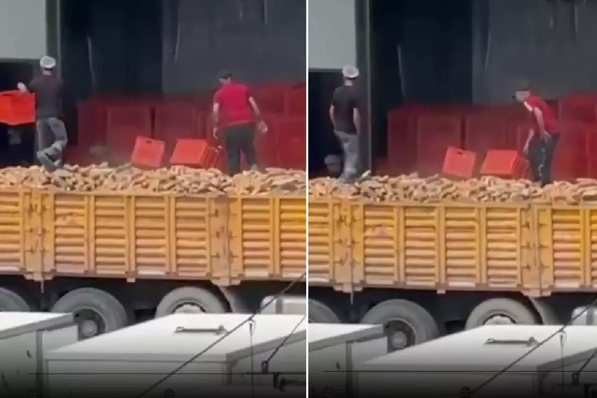 Belediye Fırınında Kaydedilen Görüntüler Tepkilere Neden Oldu Belediye Fırınında Kaydedilen Görüntüler Tepkilere Neden Oldu