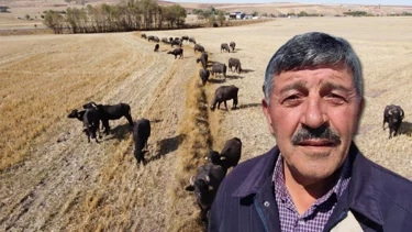 Yozgat'ta Mandaya İlgi Artıyor Yozgat'ta Mandaya İlgi Artıyor